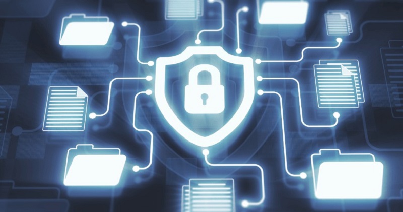 OK9 Thu Thập Những Loại Thông Tin Nào và Vì Sao Cần Thiết?